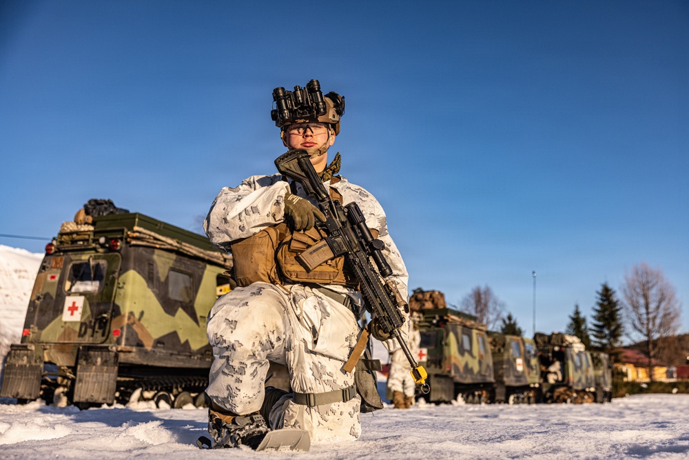 CORE26 | U.S. Marines, Allied Partners Engage in Force-on-Force Combined Simulation During Cold Response