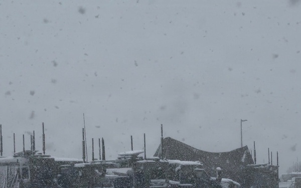 Project Dynamis Serial 005