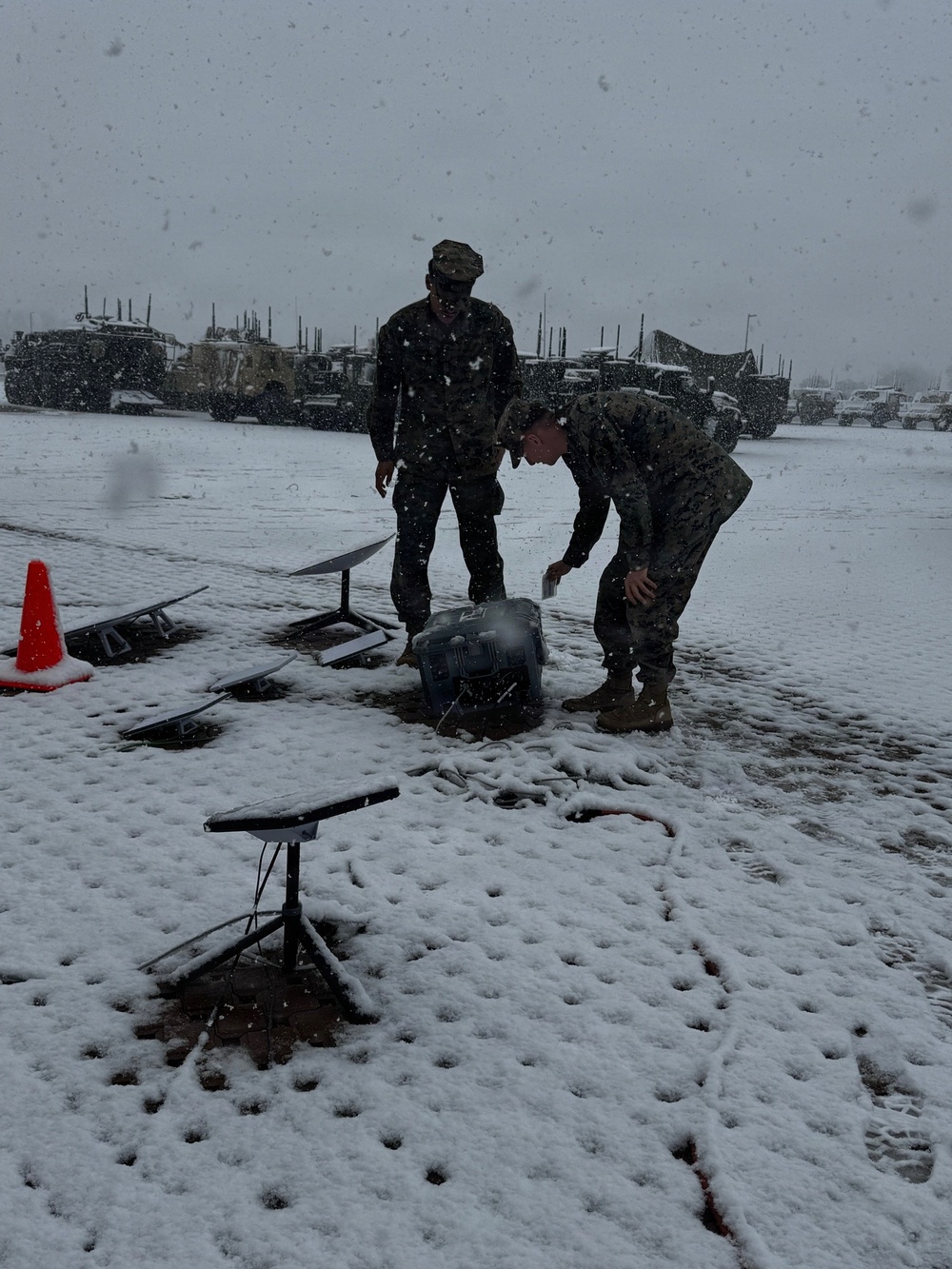 Project Dynamis Serial 005