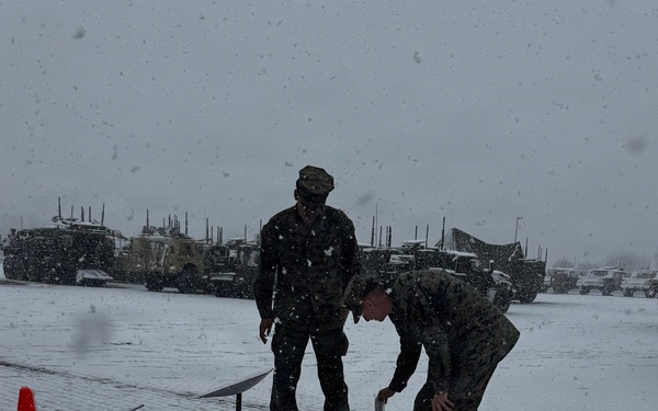 Project Dynamis Serial 005