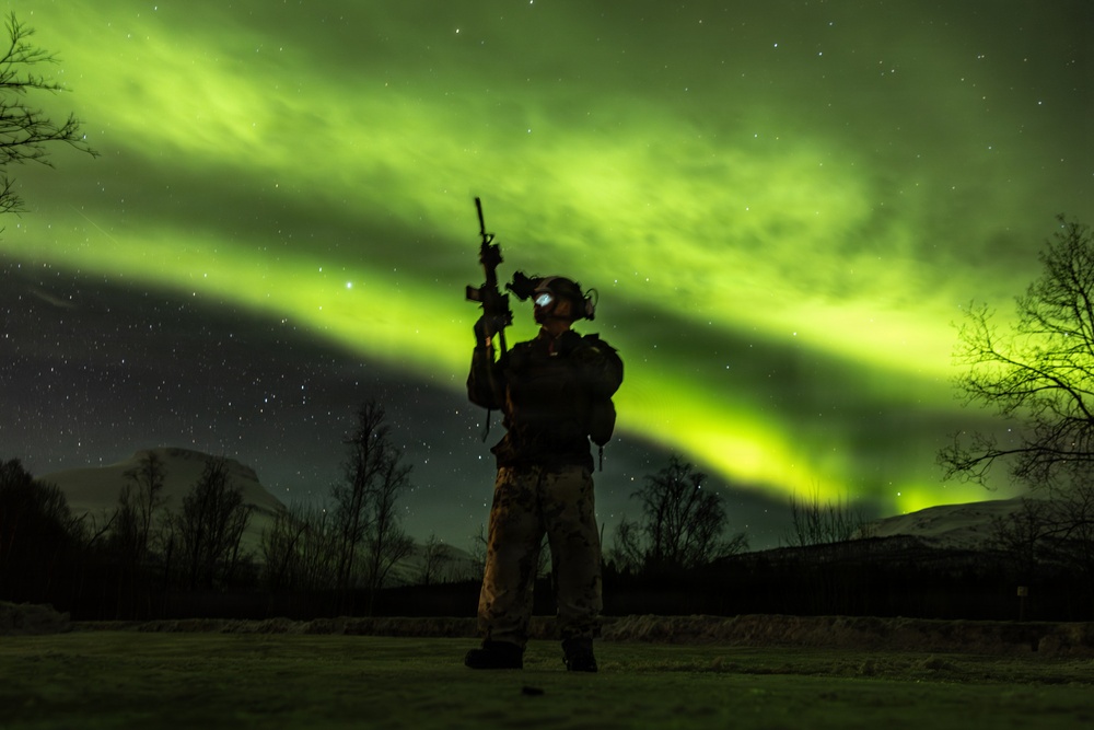 CORE26 | U.S. Marines, Allied Partners Engage in Force-on-Force Combined Simulation During Cold Response