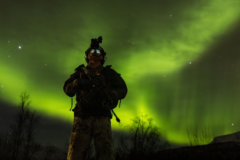 CORE26 | U.S. Marines, Allied Partners Engage in Force-on-Force Combined Simulation During Cold Response