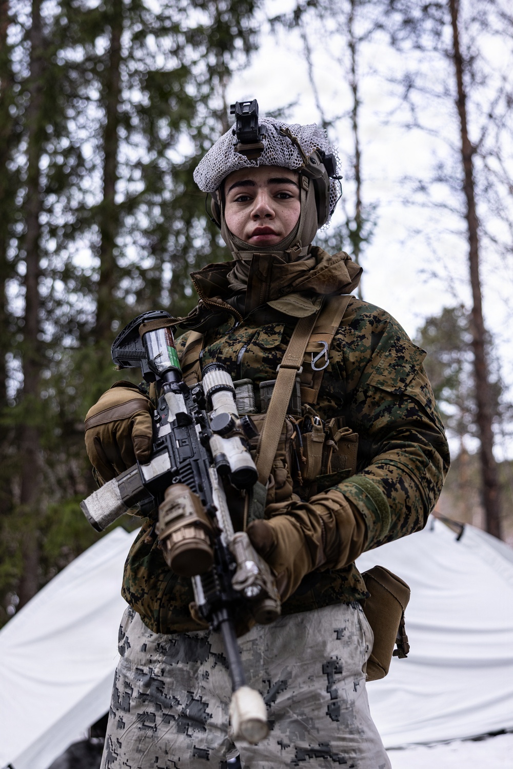 CORE26 | U.S. Marines, Allied Partners Engage in Force-on-Force Combined Simulation During Cold Response