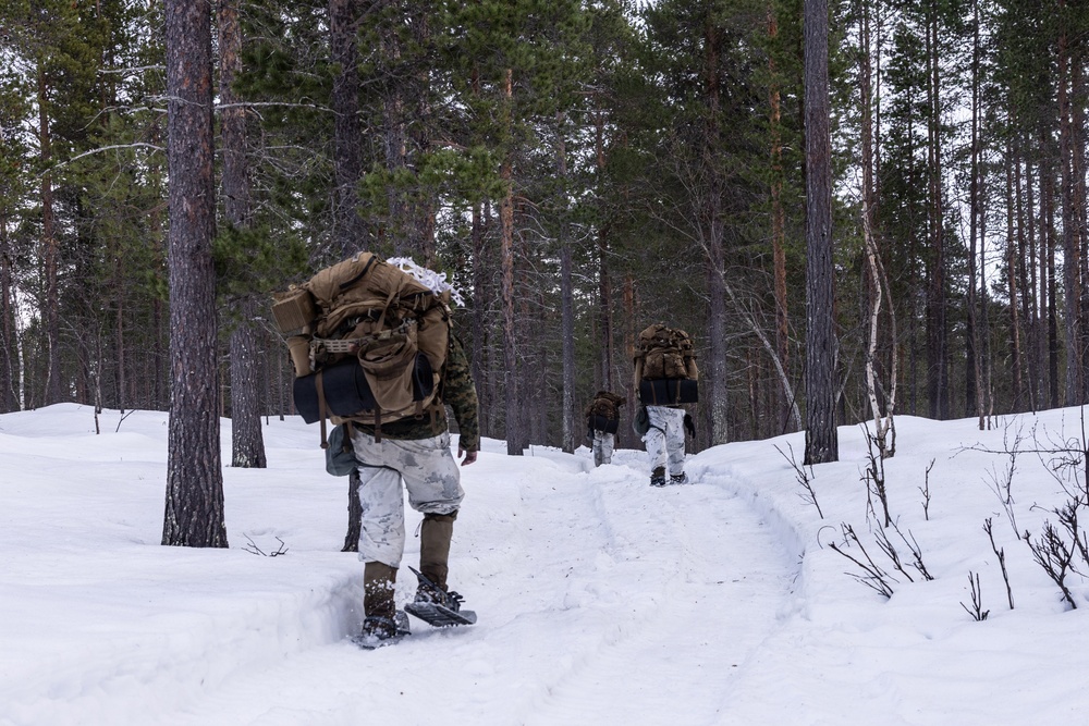 CORE26 | U.S. Marines, Allied Partners Engage in Force-on-Force Combined Simulation During Cold Response