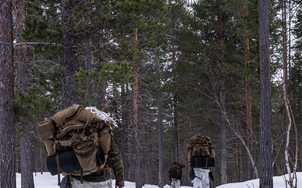 CORE26 | U.S. Marines, Allied Partners Engage in Force-on-Force Combined Simulation During Cold Response