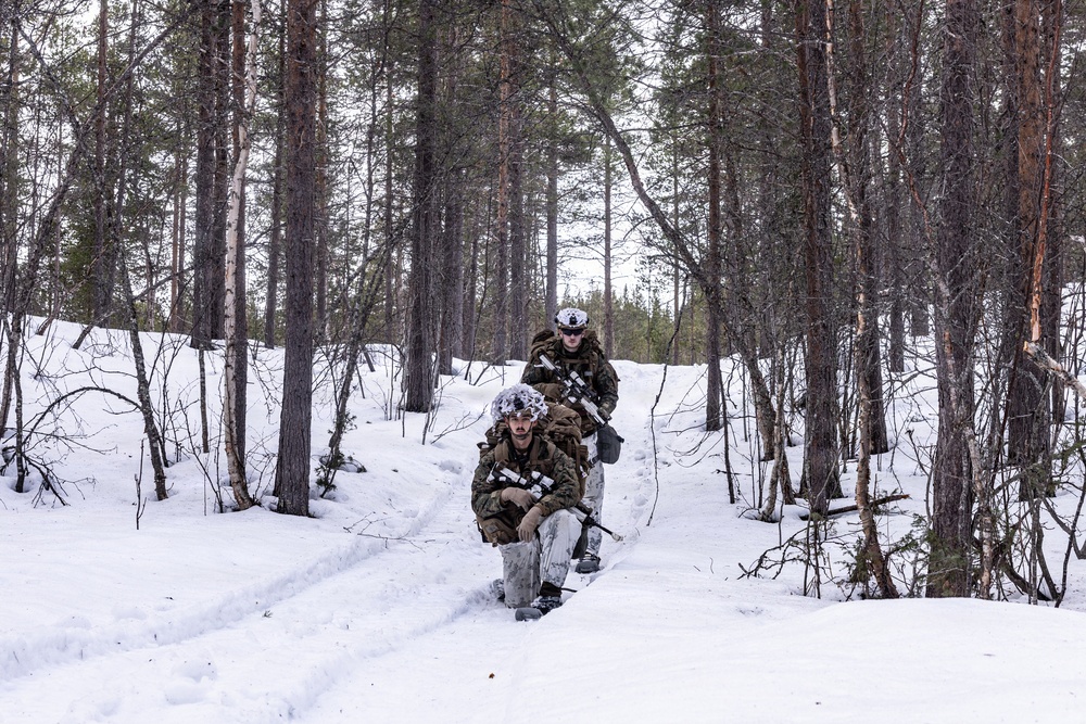 CORE26 | U.S. Marines, Allied Partners Engage in Force-on-Force Combined Simulation During Cold Response
