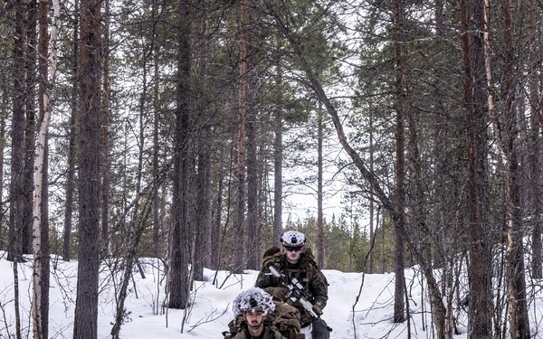 CORE26 | U.S. Marines, Allied Partners Engage in Force-on-Force Combined Simulation During Cold Response