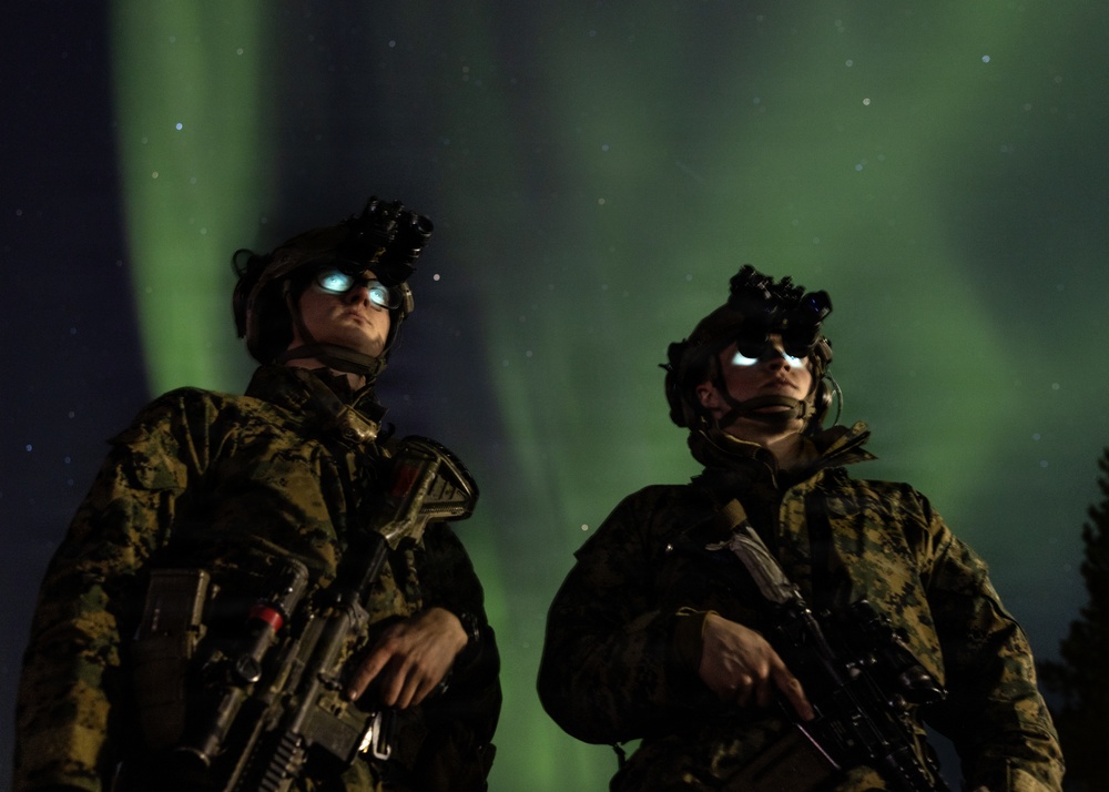 CORE26 | U.S. Marines, Allied Partners Engage in Force-on-Force Combined Simulation During Cold Response