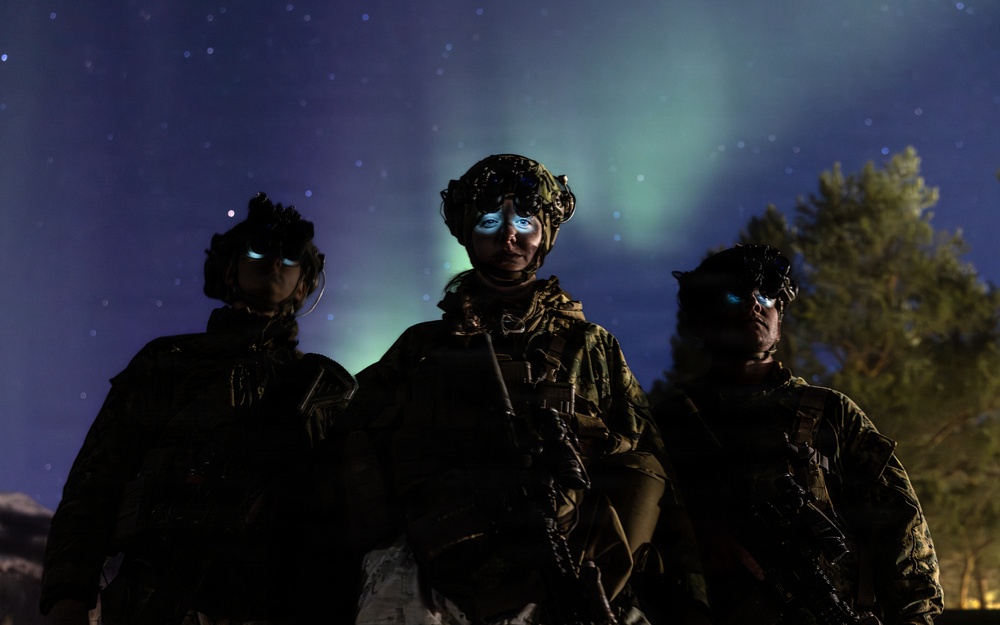 CORE26 | U.S. Marines, Allied Partners Engage in Force-on-Force Combined Simulation During Cold Response