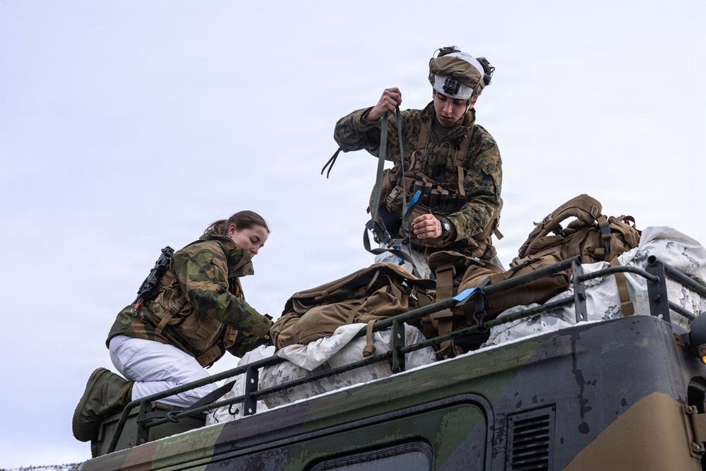 CORE26 | U.S. Marines, Allied Partners Engage in Force-on-Force Combined Simulation During Cold Response