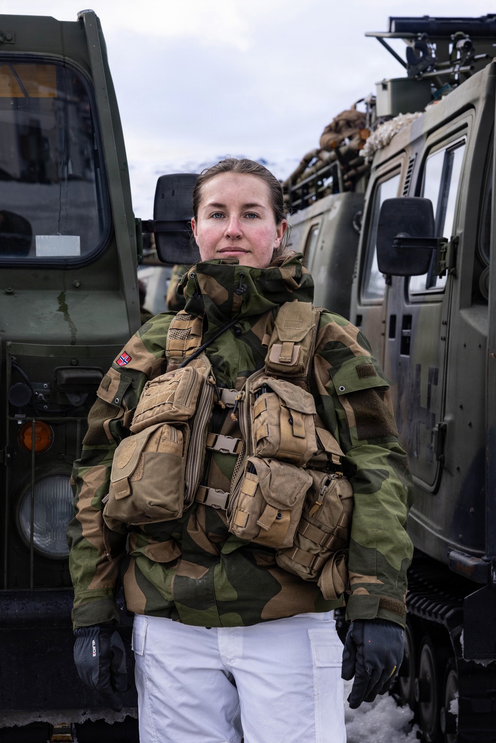 CORE26 | U.S. Marines, Allied Partners Engage in Force-on-Force Combined Simulation During Cold Response