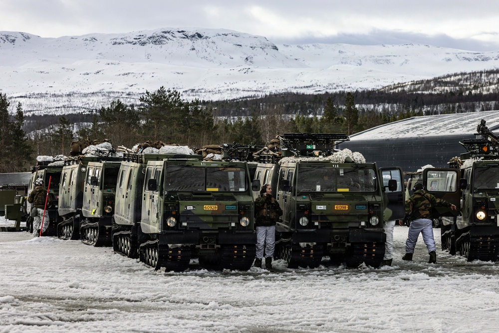 CORE26 | U.S. Marines, Allied Partners Engage in Force-on-Force Combined Simulation During Cold Response