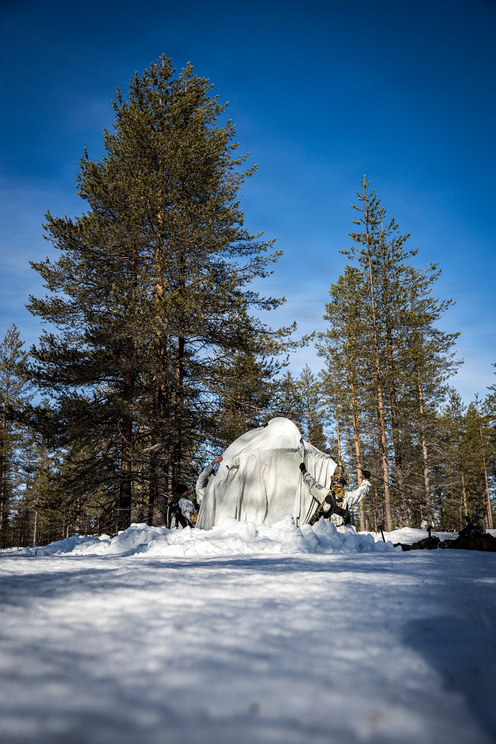 CORE26 | A New Era of Partnership: Swedish and U.S. Marine Forces