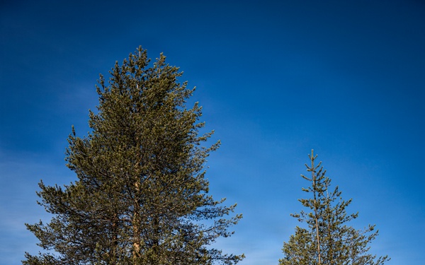 CORE26 | A New Era of Partnership: Swedish and U.S. Marine Forces