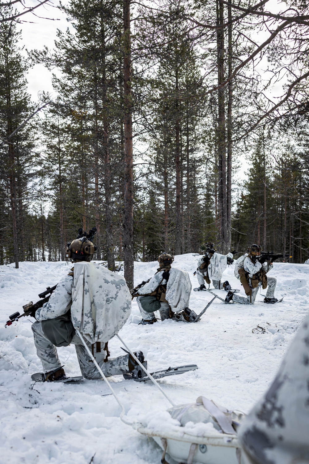 CORE26 | A New Era of Partnership: Swedish and U.S. Marine Forces