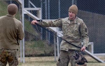 Military Working Dogs with the U.S. Army Military District of Washington