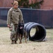 Military Working Dogs with the U.S. Army Military District of Washington