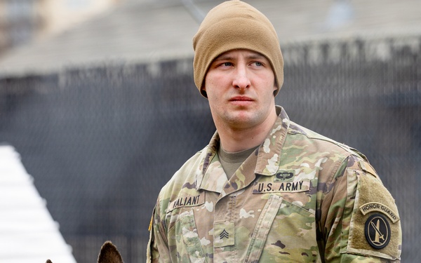 Military Working Dogs with the U.S. Army Military District of Washington