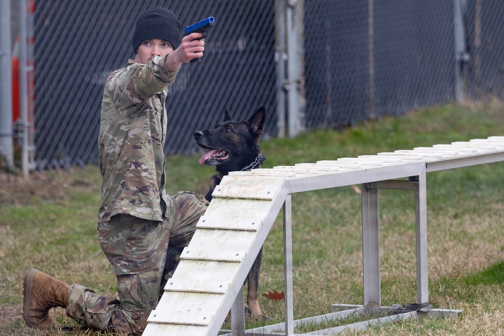 Military Working Dogs with the U.S. Army Military District of Washington