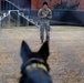 Military Working Dogs with the U.S. Army Military District of Washington