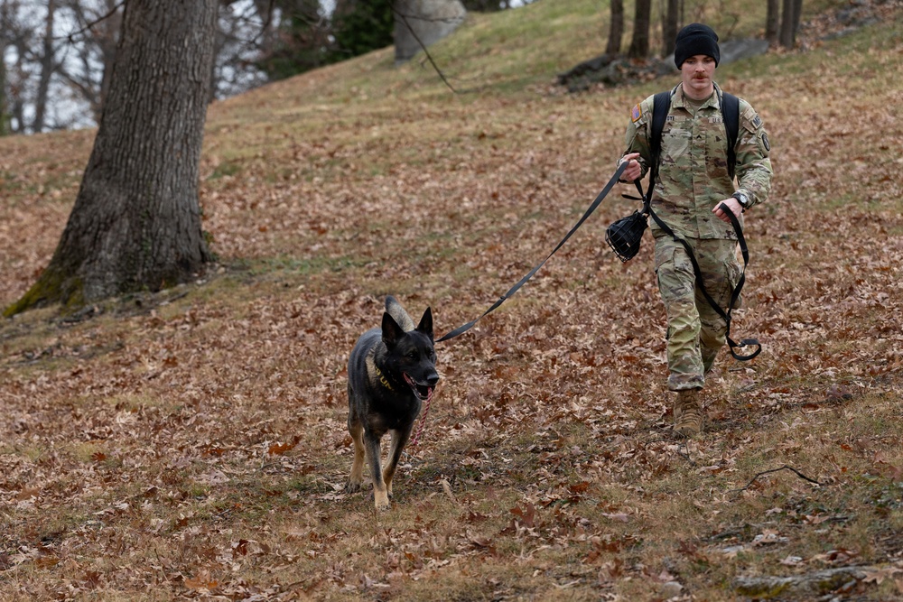 Military Working Dogs with the U.S. Army Military District of Washington