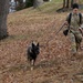 Military Working Dogs with the U.S. Army Military District of Washington