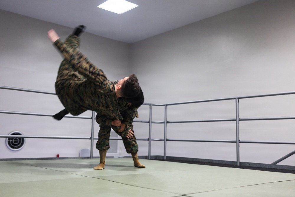 Camp Blaz Marines participate in MCMAP belt advancement