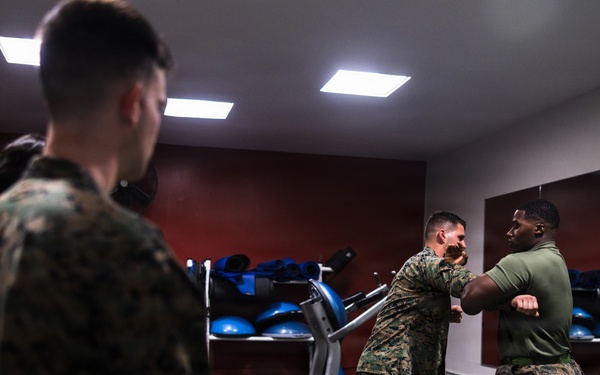 Camp Blaz Marines participate in MCMAP belt advancement