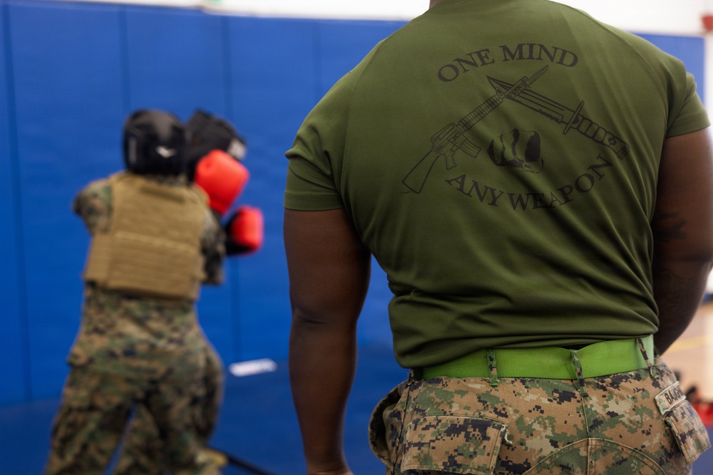 Camp Blaz Marines participate in MCMAP belt advancement