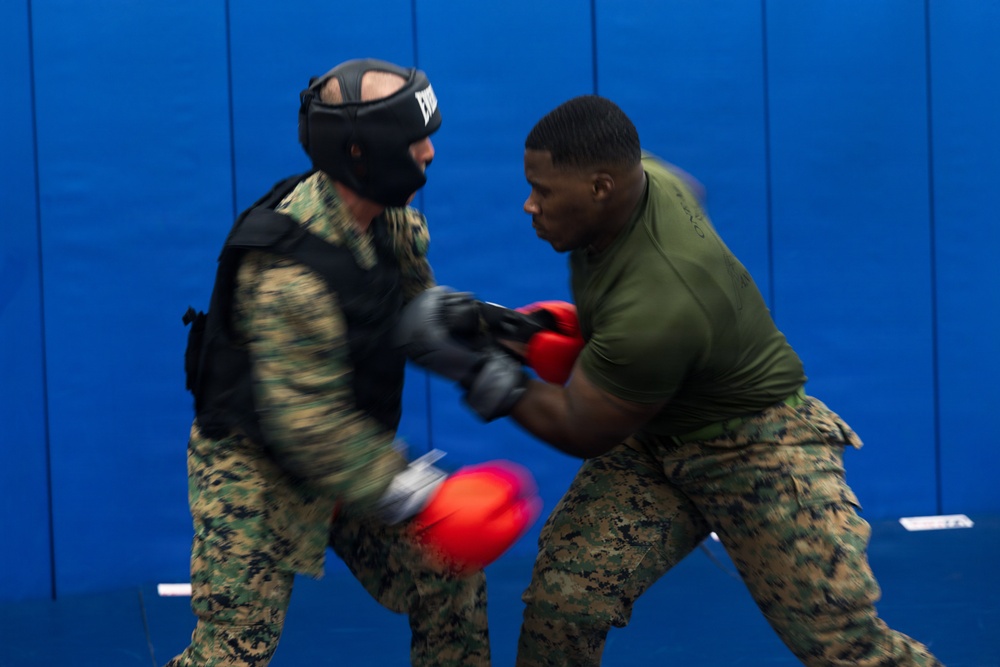 Camp Blaz Marines participate in MCMAP belt advancement