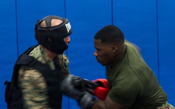 Camp Blaz Marines participate in MCMAP belt advancement