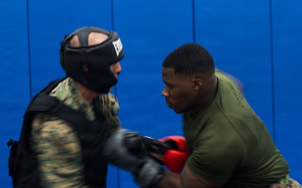 Camp Blaz Marines participate in MCMAP belt advancement