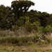 U.S. Marines with 3rd Reconnaissance Battalion conduct a covert landing in a simulated hostile environment