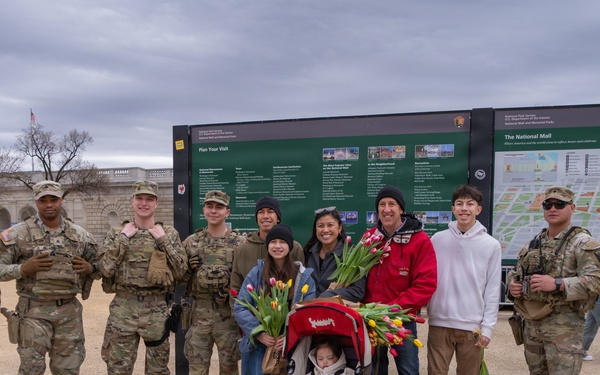 Washington DC Tulip Festival 2026