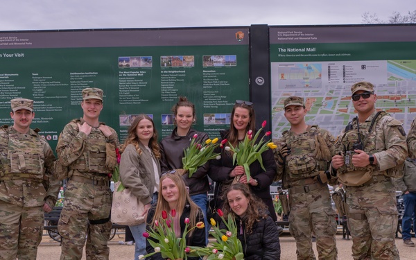 Washington DC Tulip Day Festival 2026