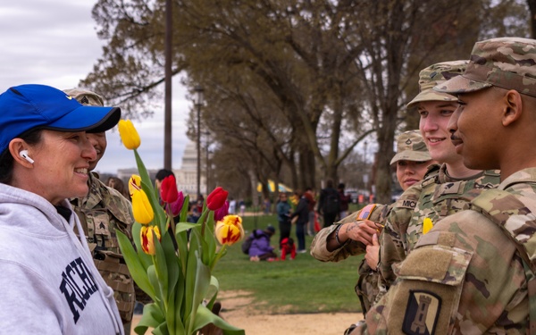 Passing the Tulips in Washington DC