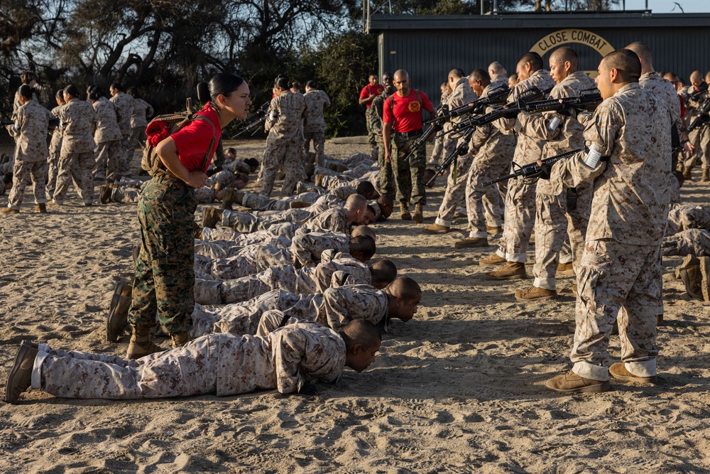 Alpha Company Body Sparring