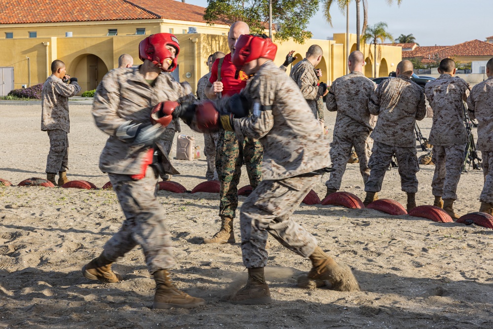 Alpha Company Body Sparring