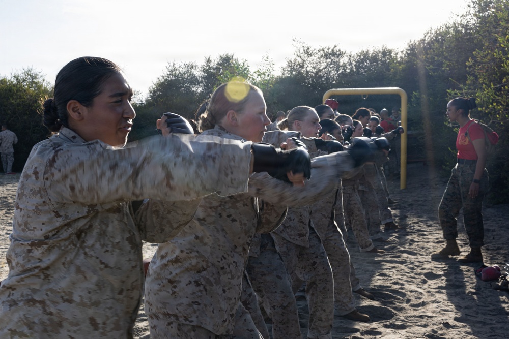 Alpha Company Body Sparring
