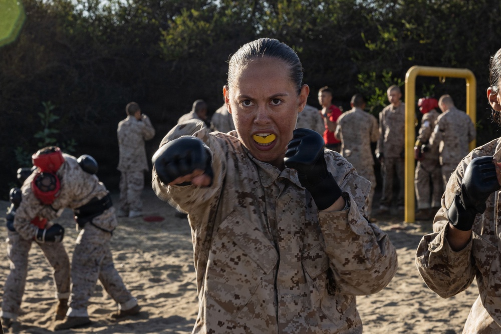 Alpha Company Body Sparring