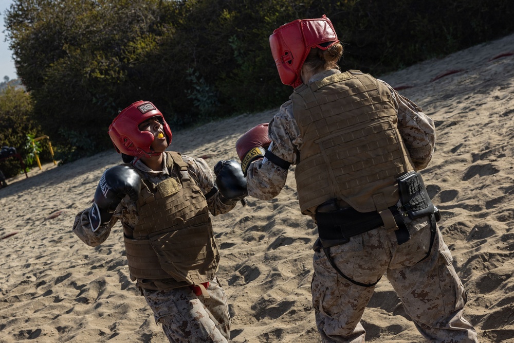 Alpha Company Body Sparring