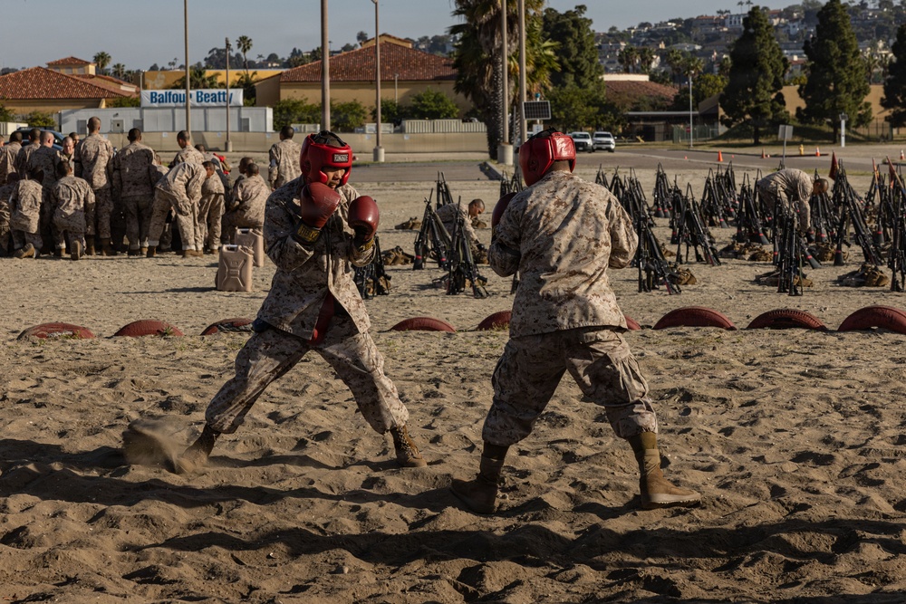 Alpha Company Body Sparring