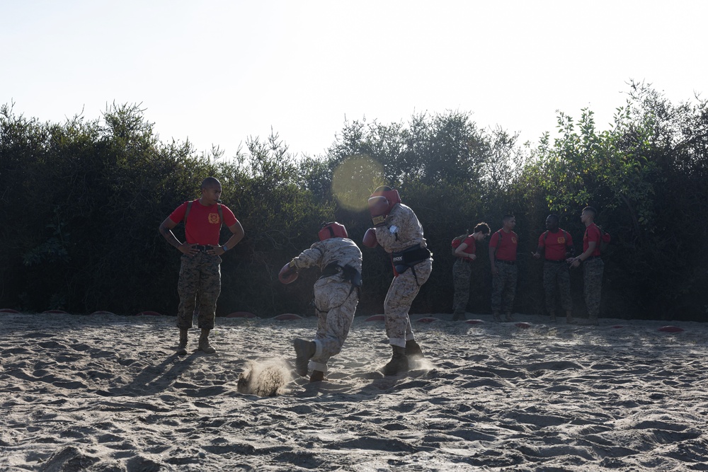 Alpha Company Body Sparring