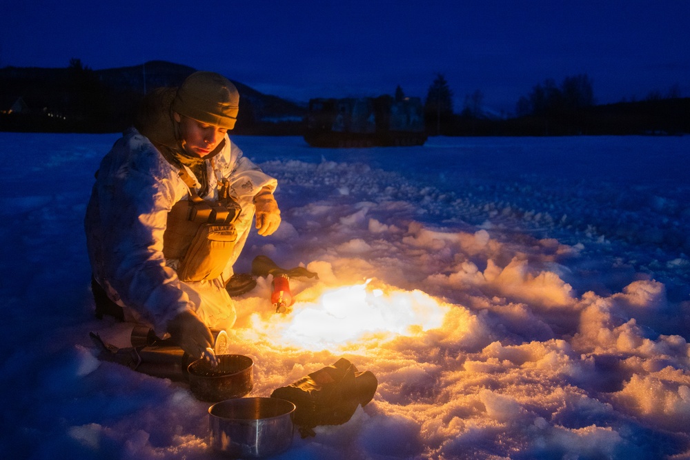 CORE26 | U.S. Marines, Allied Partners Conduct Live Exercise During Cold Response