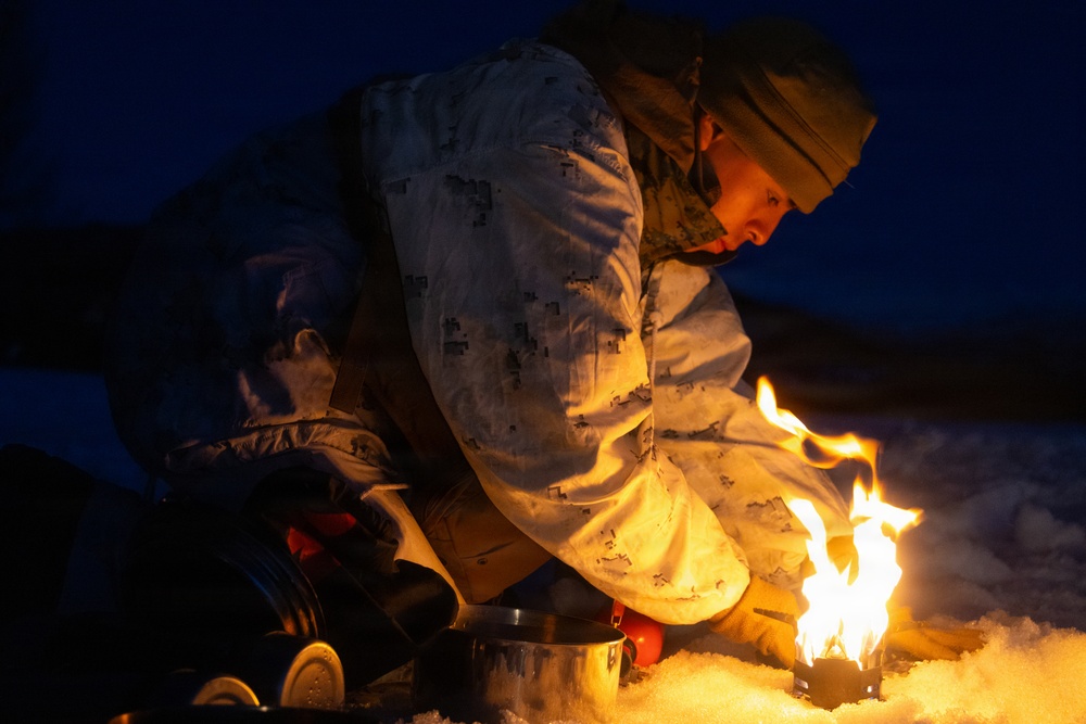 CORE26 | U.S. Marines, Allied Partners Conduct Live Exercise During Cold Response