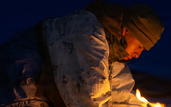 CORE26 | U.S. Marines, Allied Partners Conduct Live Exercise During Cold Response