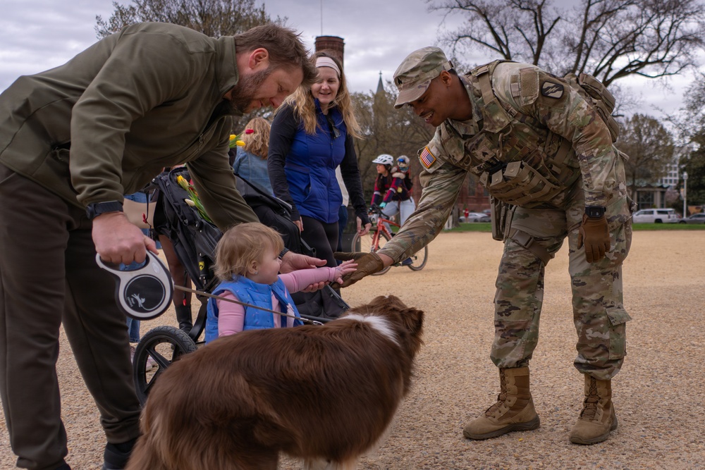 Mississippi National Guard Soldiers join Tulip Day in Washington, D.C.