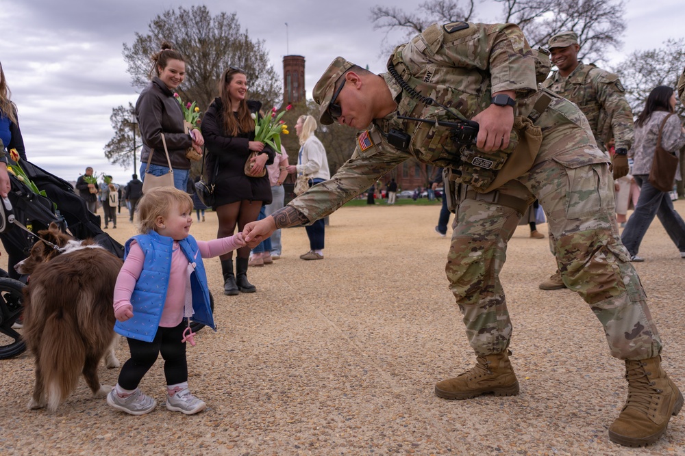 Mississippi National Guard Soldiers join Tulip Day in Washington, D.C.