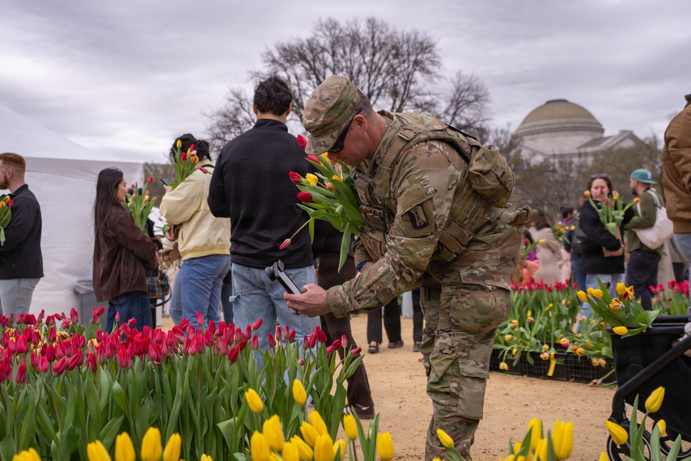 Mississippi National Guard Soldiers join Tulip Day in Washington, D.C.