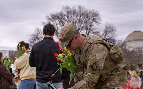 Mississippi National Guard Soldiers join Tulip Day in Washington, D.C.